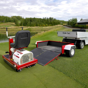 Greens IRON 3900